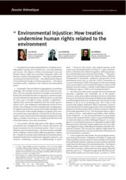 thumnail for revue-numero-18-L.-Sachs_-Johnson_-Merill-nvestment-Law-and-Environmental-Justice-.pdf
