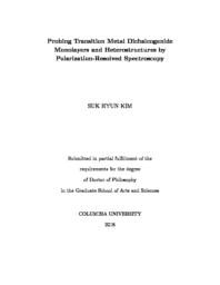 thumnail for KIM_columbia_0054D_14344.pdf