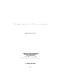 thumnail for Hirsch_columbia_0054D_16293.pdf