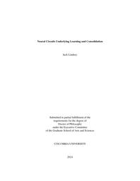 thumnail for Lindsey_columbia_0054D_18336.pdf