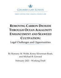 thumnail for Webb et al - Removing CO2 Through Ocean Alkalinity Enhancement and Seaweed Cultivation - Feb. 2021.pdf