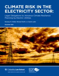 thumnail for Full Report - Climate Risk in the Electricity Sector - Webb et al.pdf