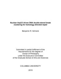 thumnail for Schrank_columbia_0054D_15002.pdf