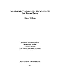 thumnail for Kaleko_columbia_0054D_13860.pdf