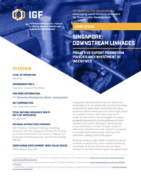 thumnail for case-study-singapore-downstream-linkages.pdf