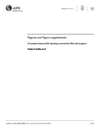 thumnail for elife-32586-figures-v2.pdf
