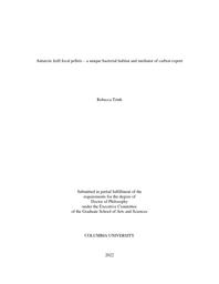 thumnail for Trinh_columbia_0054D_17520.pdf
