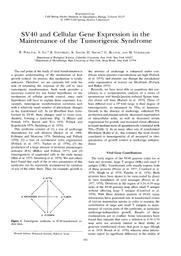 thumnail for Pollack et al. - 1980 - SV40 and Cellular Gene Expression in the Maintenan.pdf