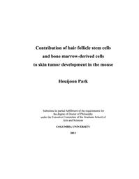 thumnail for Contribution_of_hair_follicle_.pdf