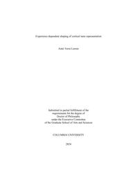 thumnail for Lawen_columbia_0054D_18913.pdf