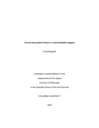 thumnail for Berghoff_columbia_0054D_16047.pdf
