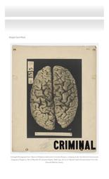thumnail for https:_medicalhealthhumanities_com_2017_10_05_the_criminal_mind_discourses_of_mental_health_and_crime_part_1_11_7_2023_6_14_10_AM.pdf