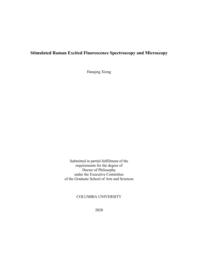 thumnail for Xiong, Hanqing - Dissertation.pdf