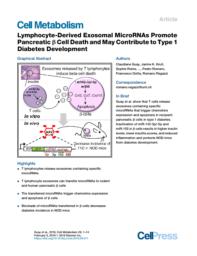 thumnail for Lymphocyte-Derived Exosomal MicroRNAs Promote Pancreatic b Cell Death and May Contribute to Type 1 Diabetes Development.pdf