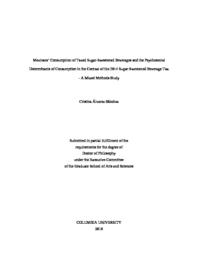 thumnail for AlvarezSanchez_columbia_0054D_14690.pdf
