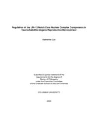 thumnail for Luo_columbia_0054_16252.pdf