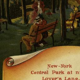 New York Central Park at Ni...