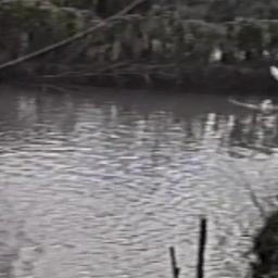 Biodiversity and Wildlife C...