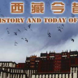 Photos from "History a...