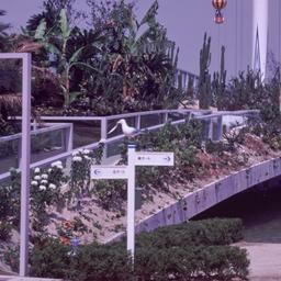 Oblique view of bridge.