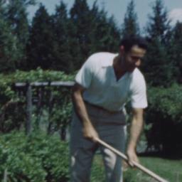 Films from 1953