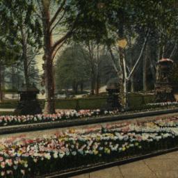 Flower Beds, Prospect Park,...