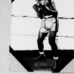 Ezzard Charles and Joe Wool...