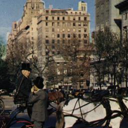 Carriages on 59th Street, N...