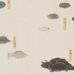 Group of Eight Fish with Mu...