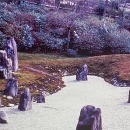 Rock garden.
