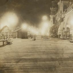 Luna Park: Coney Island Vie...