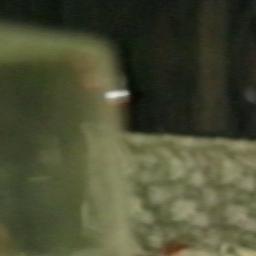 Unidentified footage of Bob...