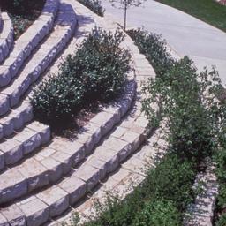 Aerial view, terraced lands...
