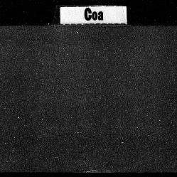 Carnegie Index Cards, Activ...