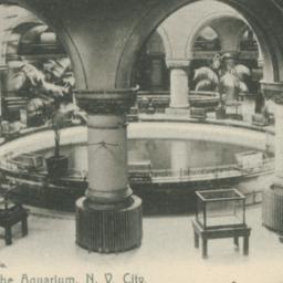 Interior of the Aquarium, N...