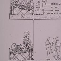 Mur de Verre -- Terrarium. ...