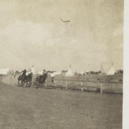 Horse Race