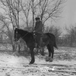 Jesse Standing Buffalo on H...