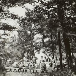Boys on Benches in Woods