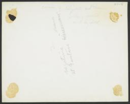 verso