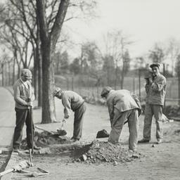 Men Digging near Street