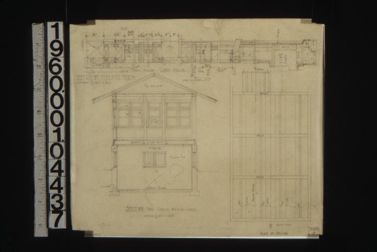 Detail of sleeping porch showing section through wall; section thro' sleeping porch and laundry; plan of ceiling : 7.